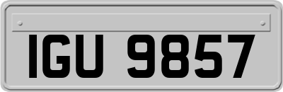IGU9857