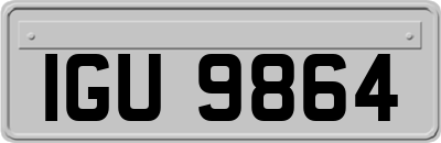 IGU9864
