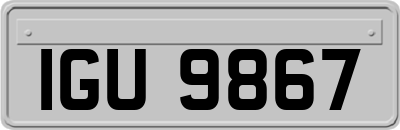 IGU9867