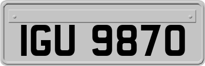 IGU9870