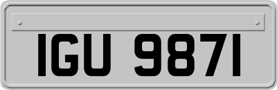 IGU9871