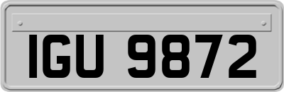 IGU9872