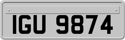 IGU9874