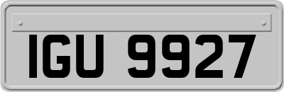 IGU9927