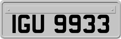 IGU9933