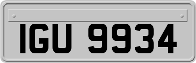 IGU9934