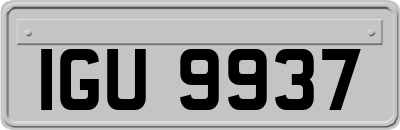 IGU9937