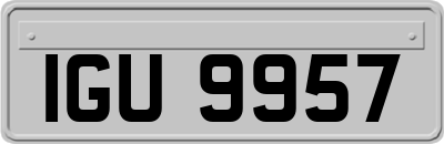 IGU9957