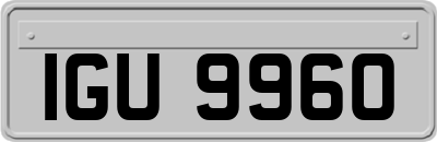 IGU9960
