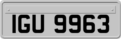 IGU9963