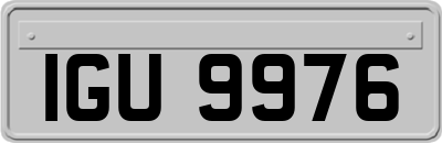 IGU9976