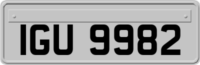 IGU9982
