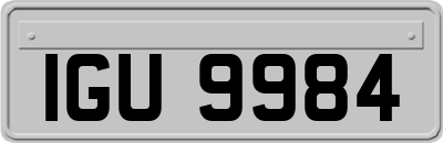 IGU9984