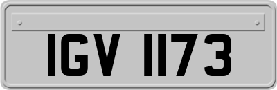 IGV1173
