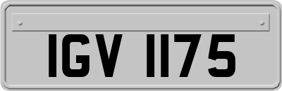 IGV1175