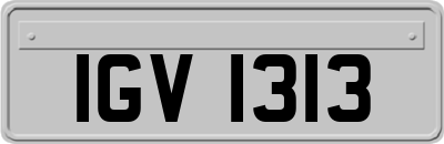 IGV1313