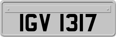 IGV1317