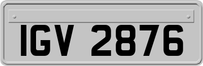 IGV2876