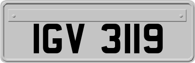 IGV3119
