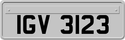 IGV3123