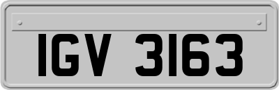IGV3163