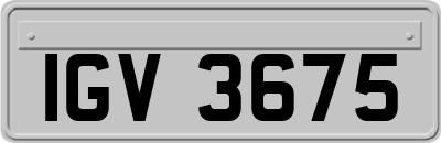 IGV3675