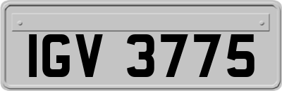 IGV3775