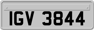 IGV3844