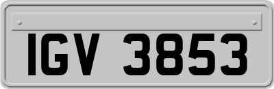 IGV3853