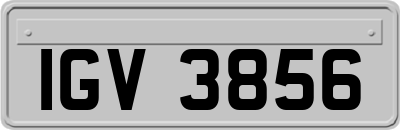 IGV3856