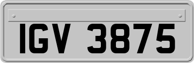 IGV3875
