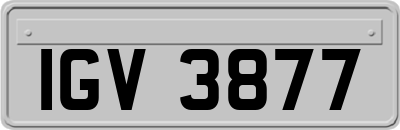 IGV3877