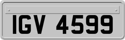 IGV4599