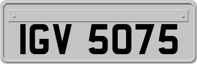IGV5075