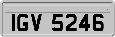 IGV5246