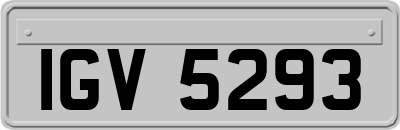 IGV5293
