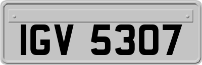 IGV5307