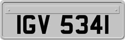 IGV5341