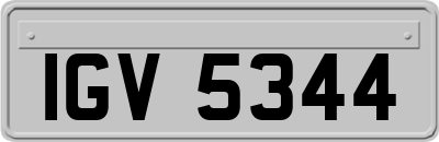 IGV5344