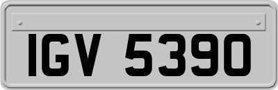 IGV5390