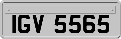 IGV5565
