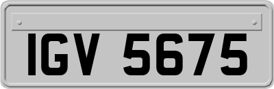 IGV5675