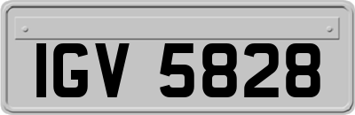 IGV5828