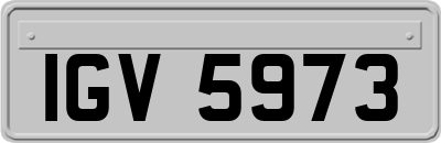 IGV5973
