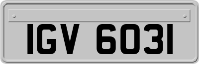 IGV6031