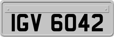 IGV6042