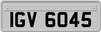 IGV6045