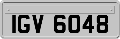 IGV6048