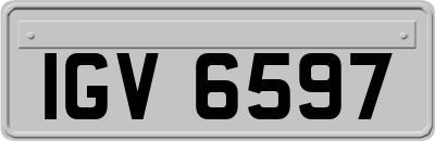 IGV6597
