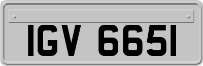 IGV6651